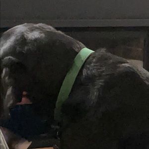 Meet your Posher, Jane marie